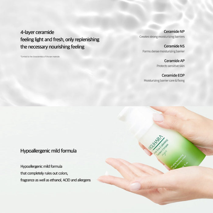 Green Tea Calming Essence Cream Origin - Korean-Skincare