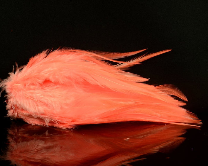 Shrimp / 1 oz