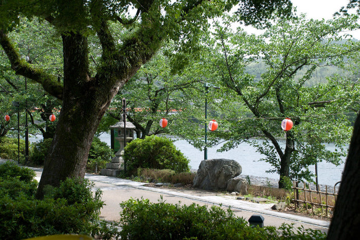 Hojicha Green tea vista