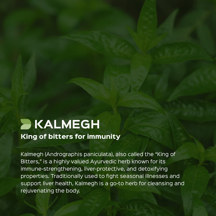 Kalmegh (Andrographis Paniculata) Dry Extract - 10% Total Andrographolide by HPLC