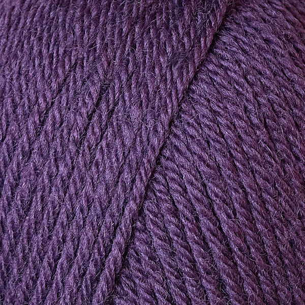 Eggplant 95147