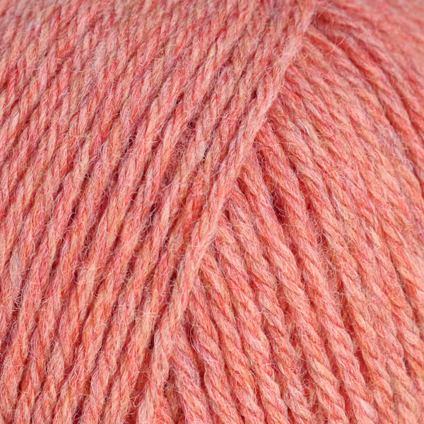 Grapefruit 95110