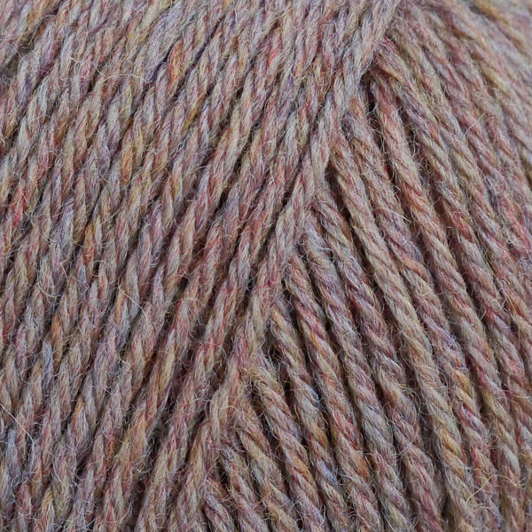 Iris 95112