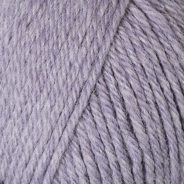 Phlox  95141
