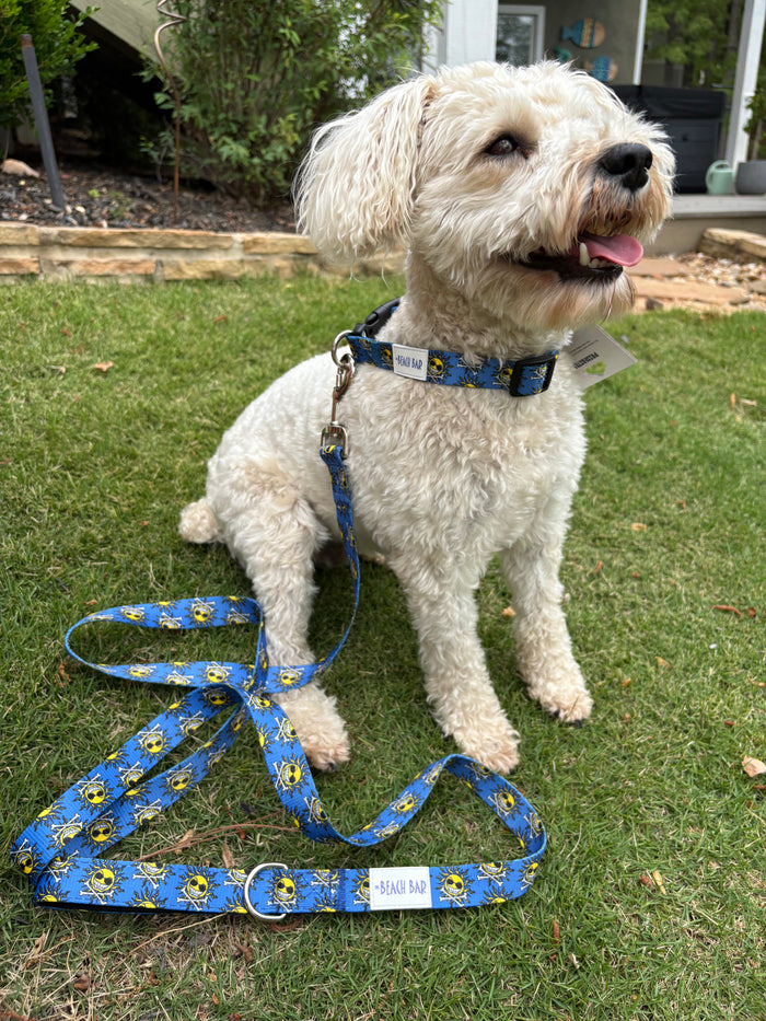 LG Dog Leash