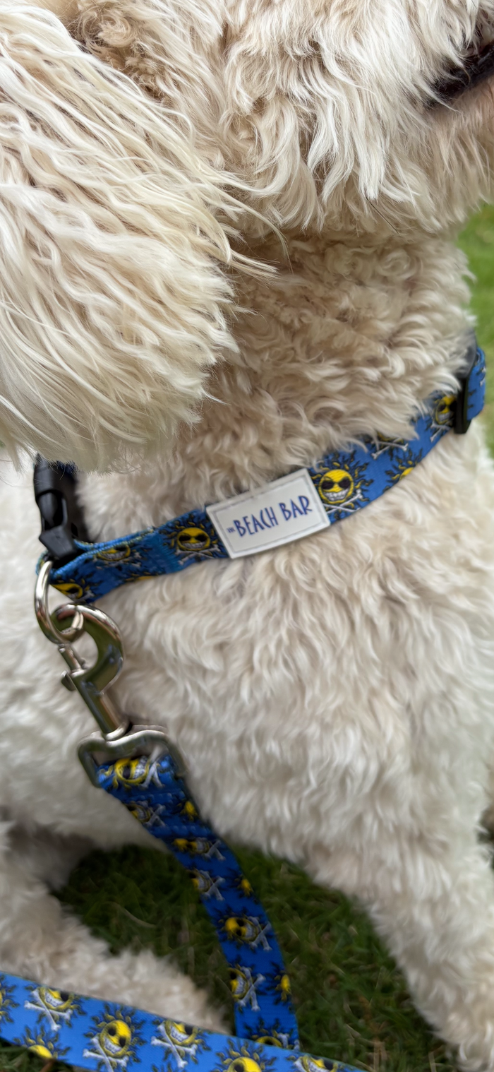 LG Dog Leash