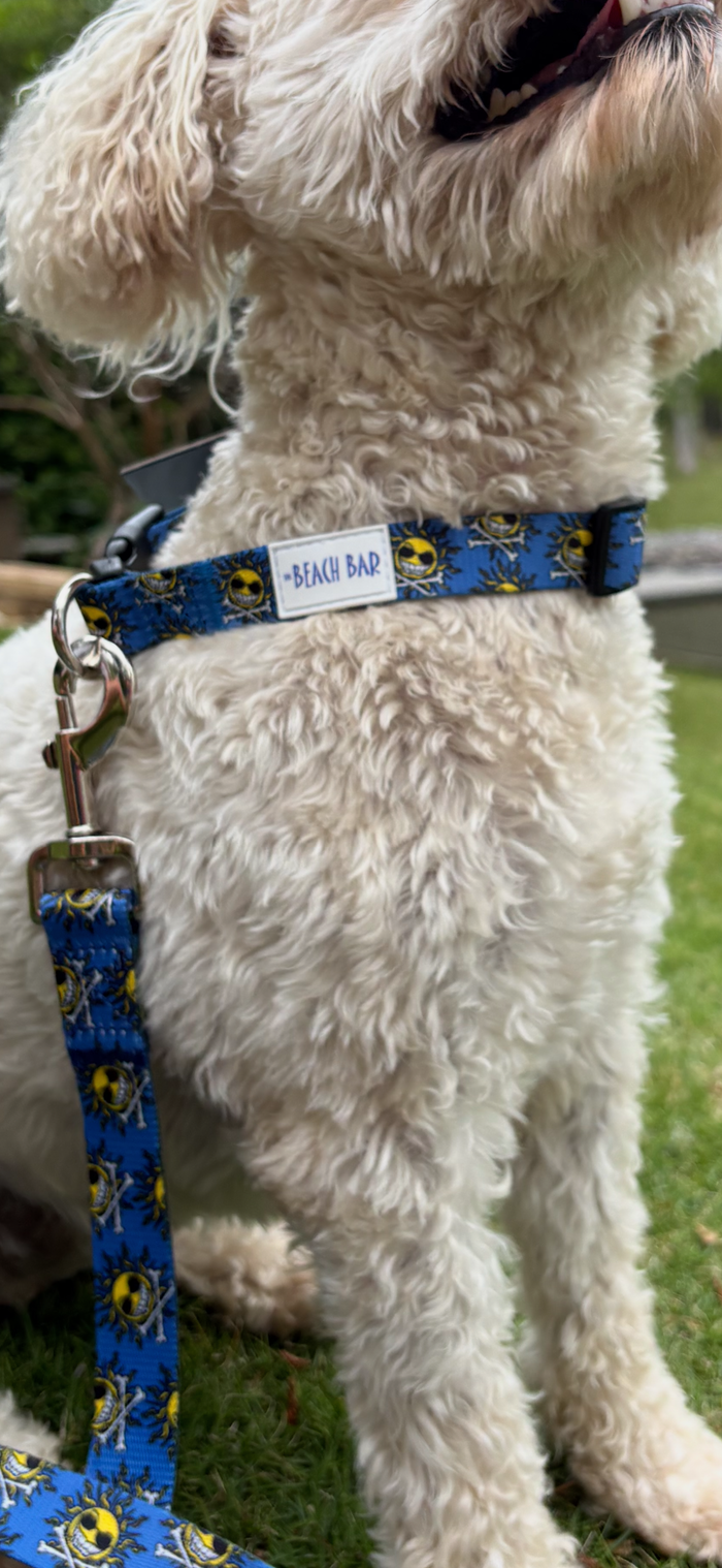 LG Dog Leash