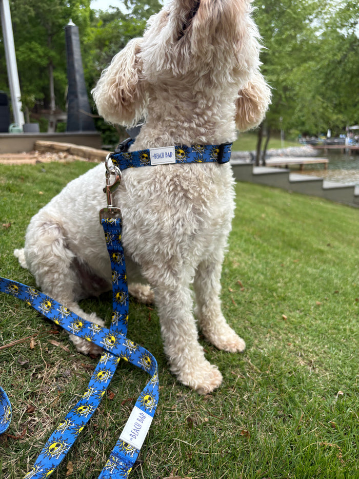 LG Dog Leash
