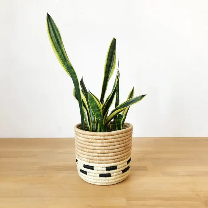 Mazuru Basket Planter