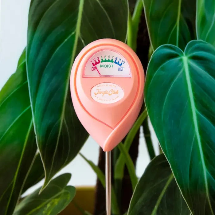 Moisture Meter