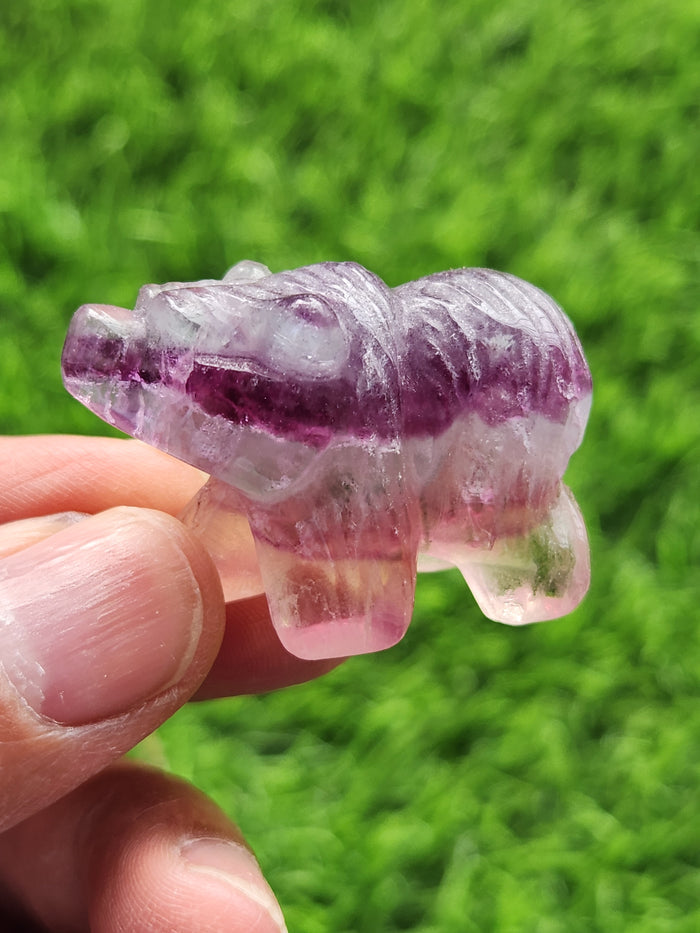 Multi Fluorite Bear Carving - Channeling Balance and Protection - Animal carving