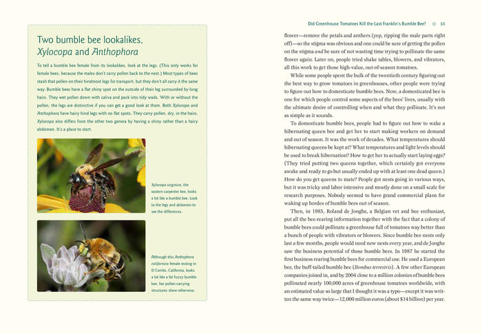 Our Native Bees