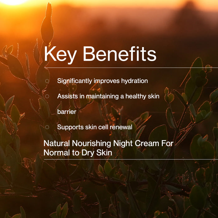Overnight Multi-Biotic Moisture Cream Mini
