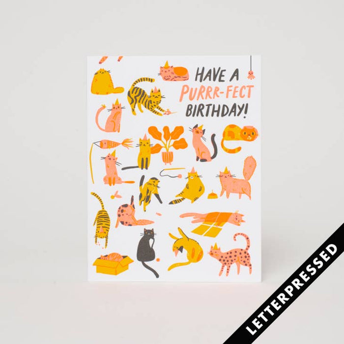 Purr-Fect Birthday Card