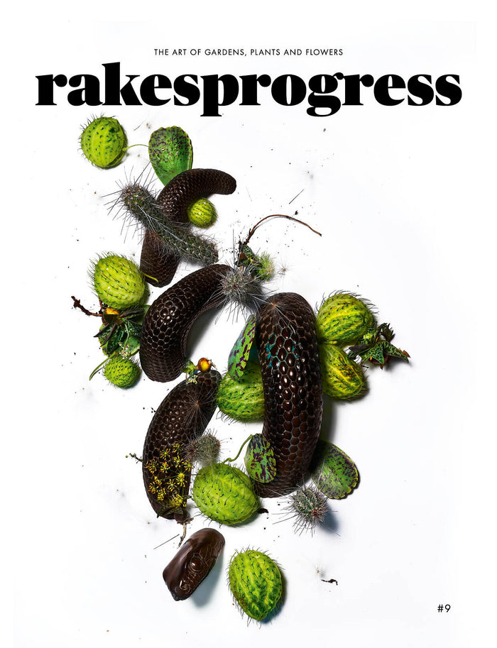 Rakes Progress