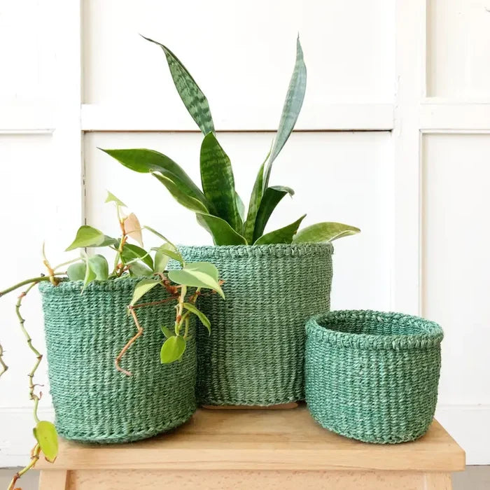 Sage Storage Baskets