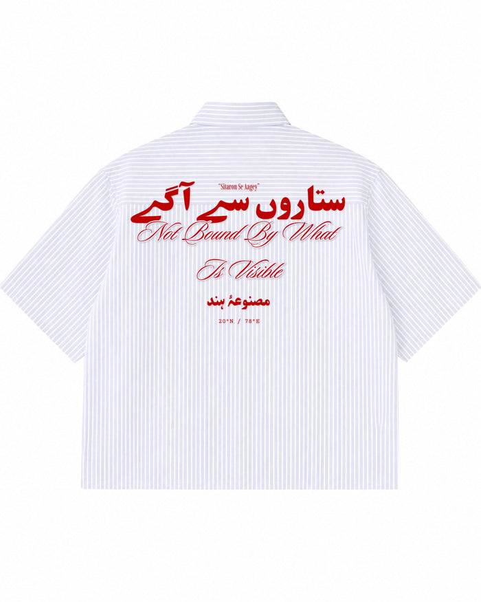 Blue Striped Oxford Boxy Shirt Back Design