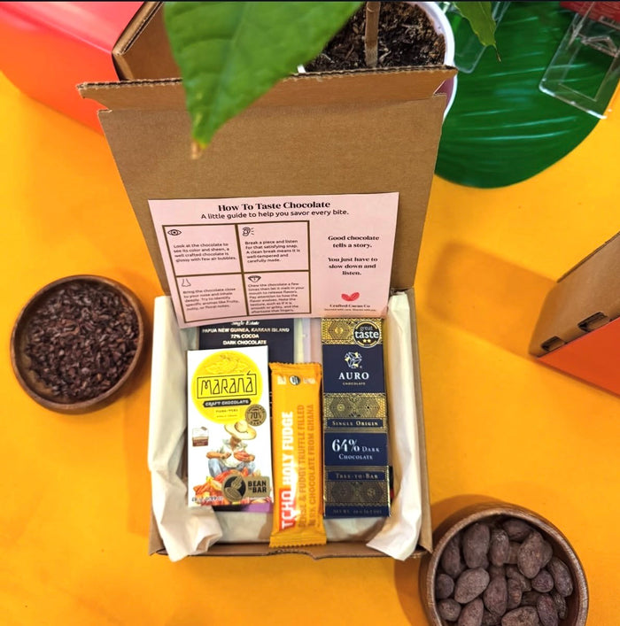 TASTING KIT Mini