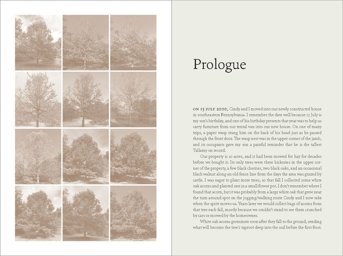 The Nature of Oaks