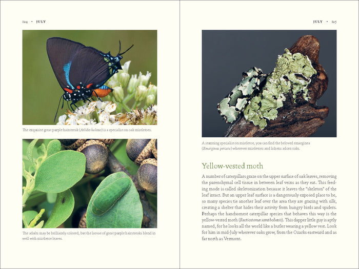 The Nature of Oaks