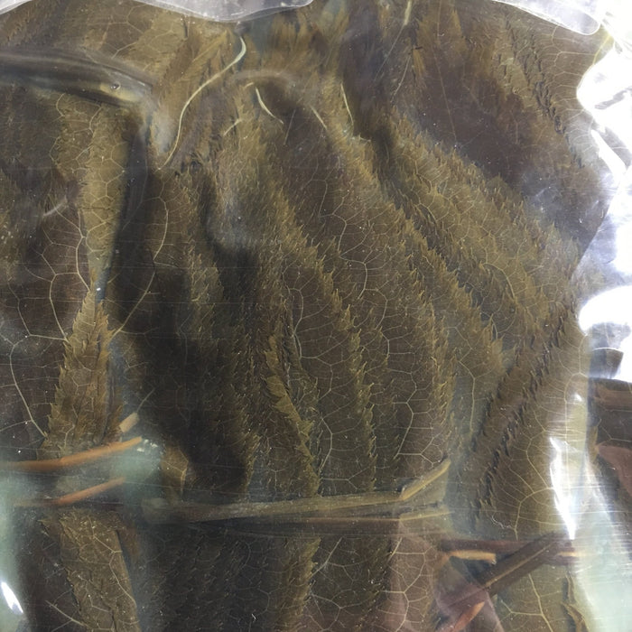 Tomiz: Pickled Sakura Leaves from Izu Peninsula, Shizuoka 桜葉の塩漬(伊豆産) - Yunomi.life