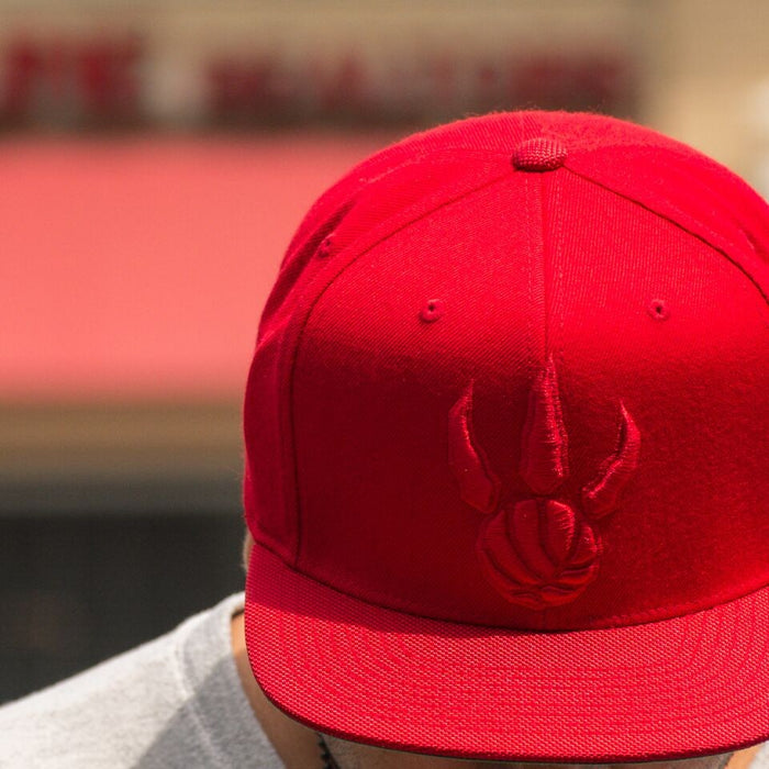 Tonal Ballistic Toronto Raptors
