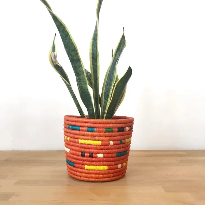 Toyo Basket