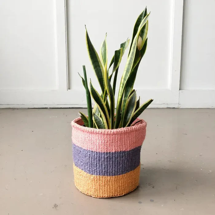 Tropical Storage Baskets