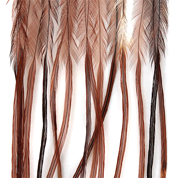 #12 / Brown