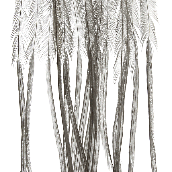 #14 / Light Dun