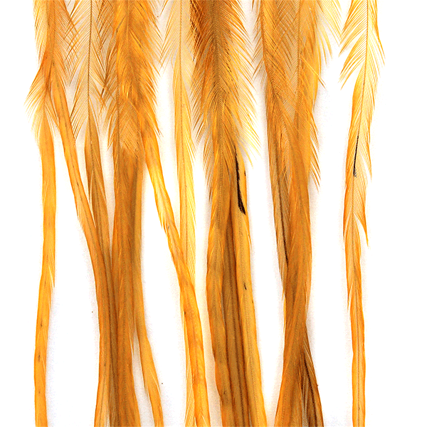 #16 / Medium Ginger