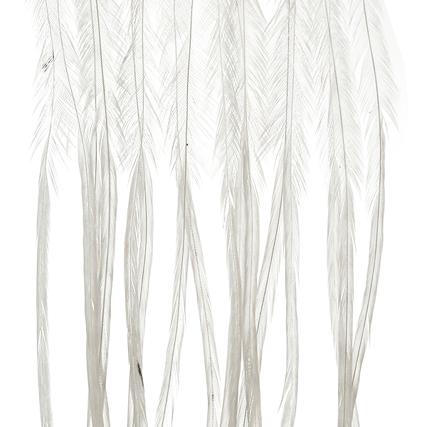 #16 / White