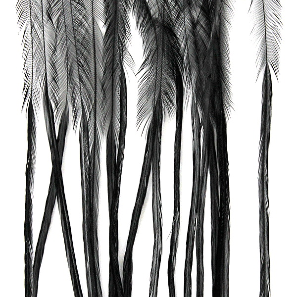 #10 / Black