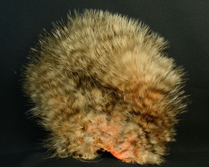 Grizzly Dyed Salmon