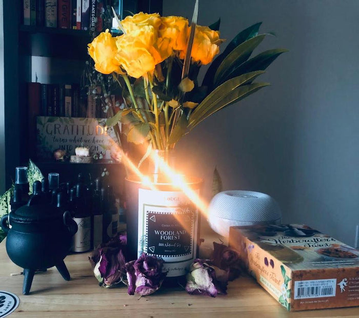 Woodland Forest - 18oz Infused* Soy Candle - LODGE Soy Candles